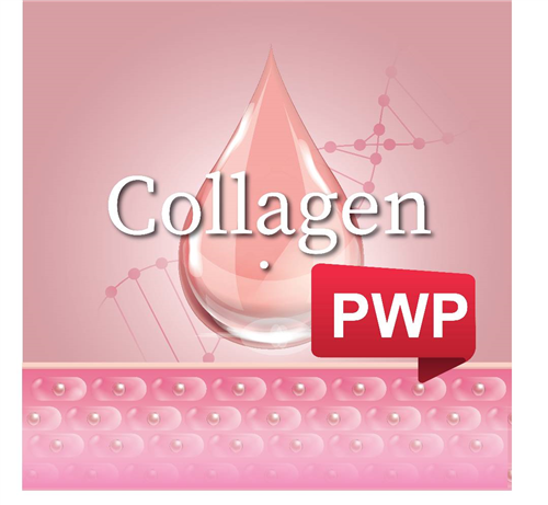 RX COLLAGEN - PWP 